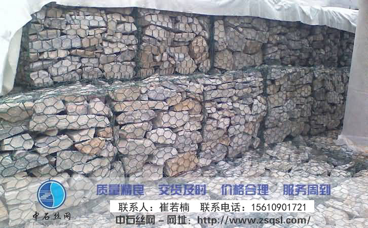 綠濱墊2 綠濱墊2