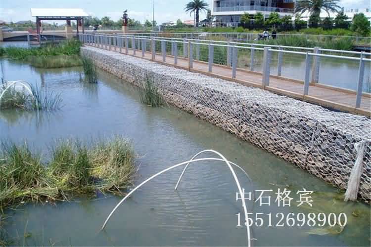 護墊完工圖.jpg 護墊完工圖.jpg